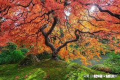 知道他心里没我还要为孩子继续努力维持婚姻吗