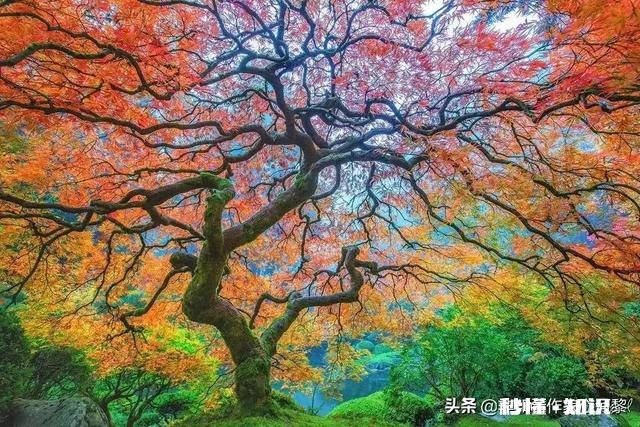 知道他心里没我还要为孩子继续努力维持婚姻吗