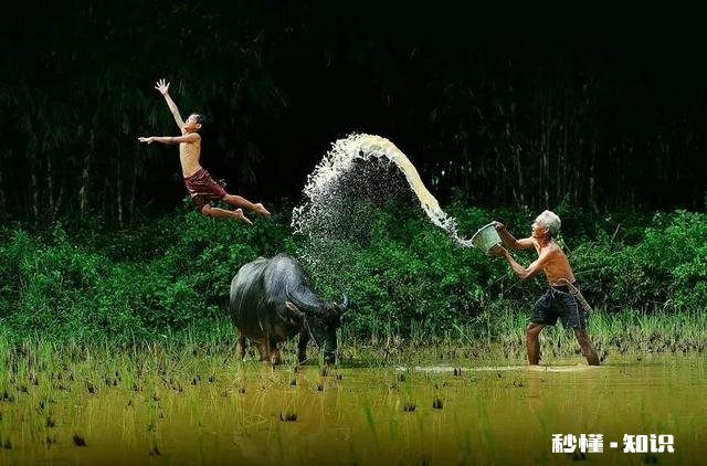 知道他心里没我还要为孩子继续努力维持婚姻吗