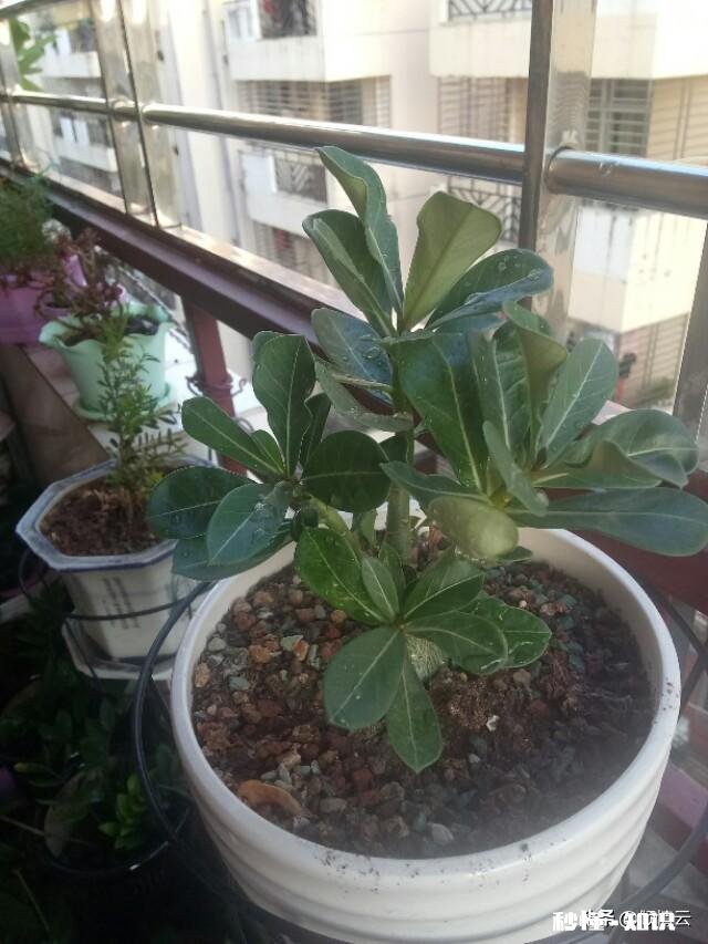 女人怎样才算有安全感