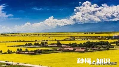 失恋给我带来了彻底的负面情绪该怎么恢复，我不敢直视婚姻和恋爱