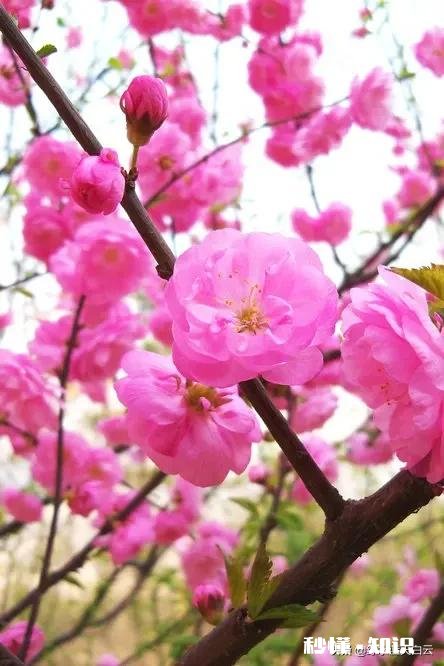 失恋给我带来了彻底的负面情绪该怎么恢复，我不敢直视婚姻和恋爱