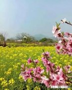 失恋给我带来了彻底的负面情绪该怎么恢复，我不敢直视婚姻和恋爱