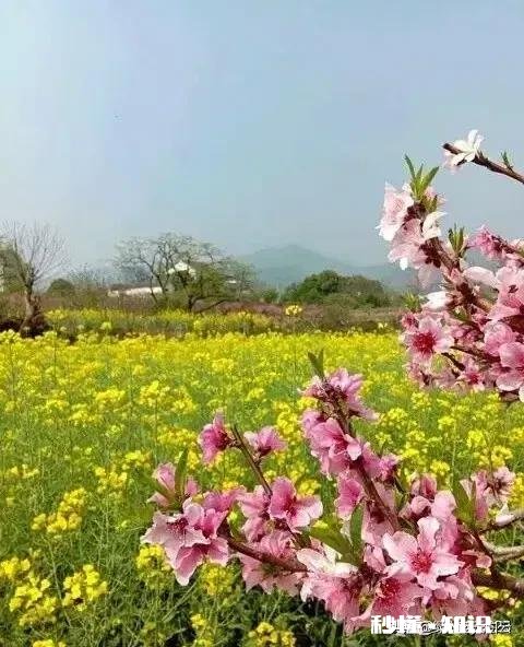 失恋给我带来了彻底的负面情绪该怎么恢复，我不敢直视婚姻和恋爱