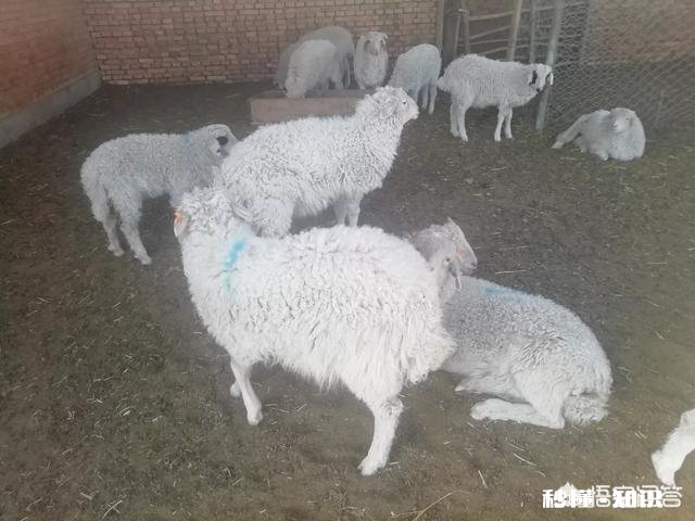 在家乡创业做什么好