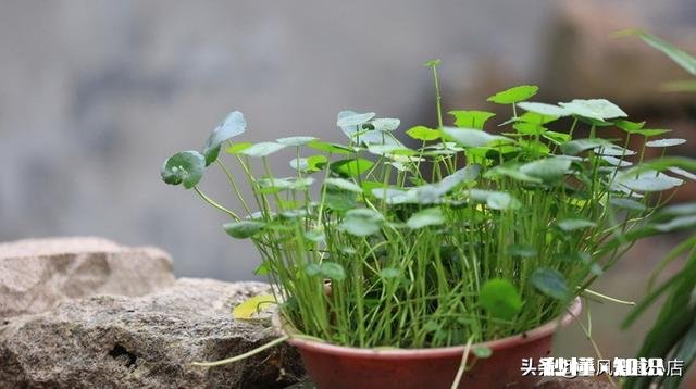 人到中年，突然很迷茫，是为什么呢该如何走出困境