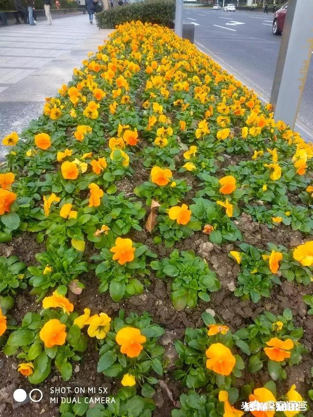 如何看待碌碌无为的人的社会价值