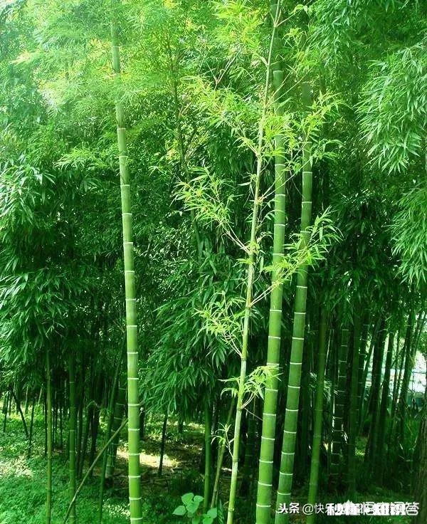 如何看待碌碌无为的人的社会价值