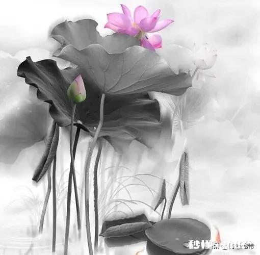 如果真的有下辈子，您希望自己的下辈子怎么活