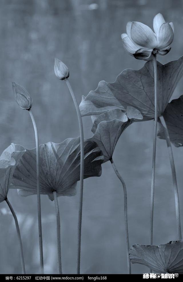 如果真的有下辈子，您希望自己的下辈子怎么活