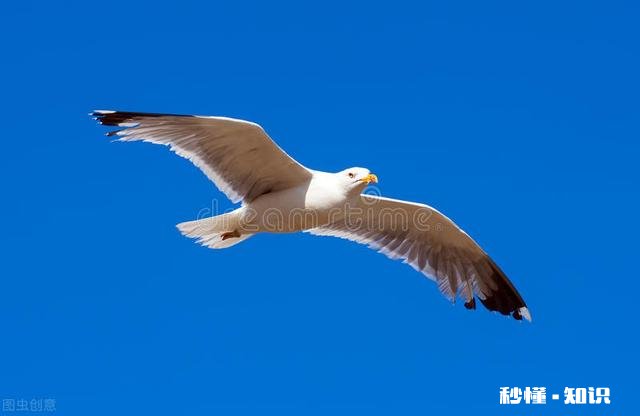 如果真的有下辈子，您希望自己的下辈子怎么活