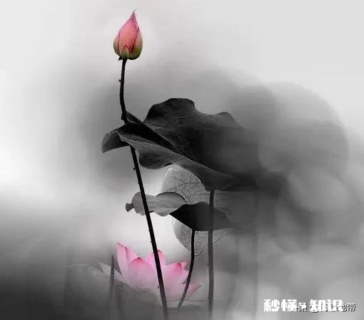 如果真的有下辈子，您希望自己的下辈子怎么活