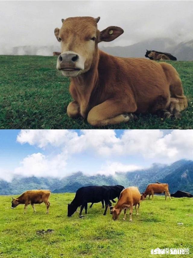 一个人怎么会慢慢的性格变成内向了，咋搞的