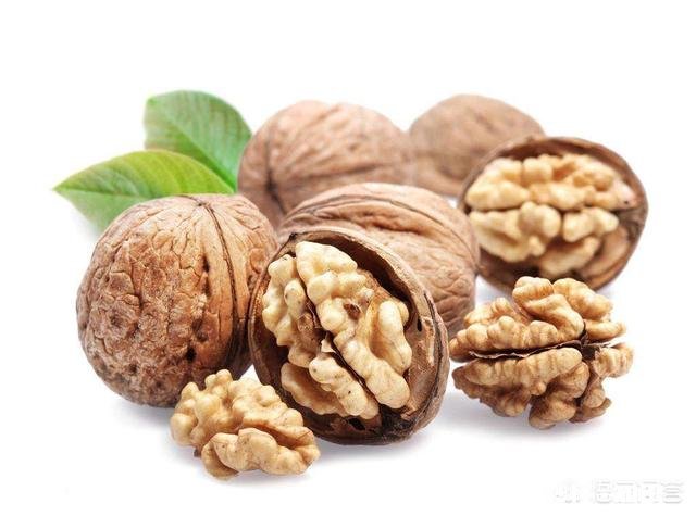 什么季节嫁接核桃最佳，怎样嫁接