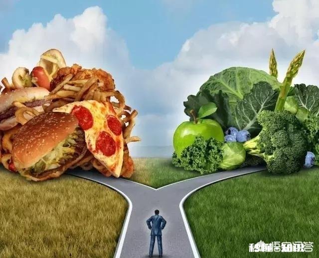 吃饱是生存，吃好是能力，会吃是学问。这学问指什么