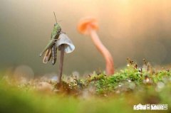 什么事情会让你决定要去好好奋斗