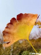 女人真的会遇到一个满眼都是自己的男人吗具体如何