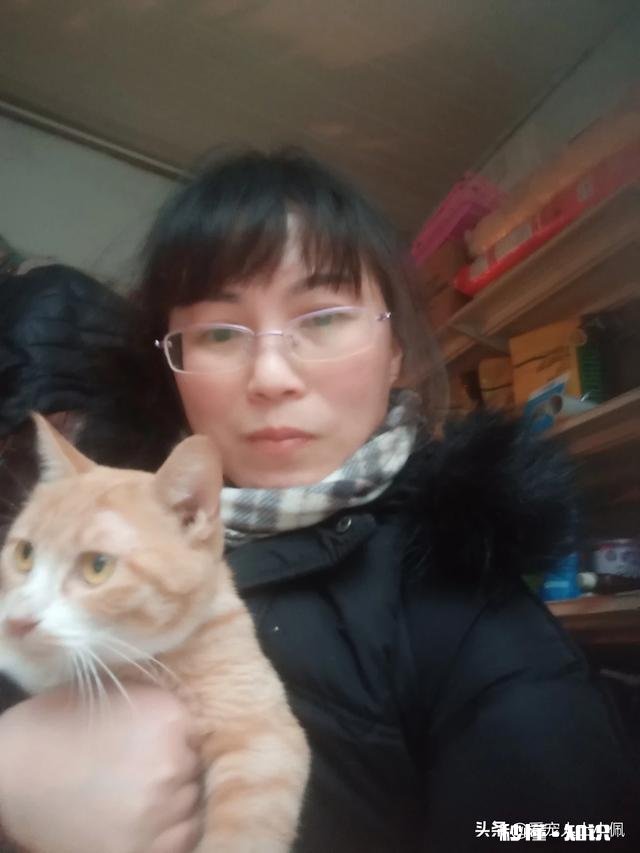 收养一条流浪狗,但是它不吃狗粮和猫粮,我平时喂点啥好呢