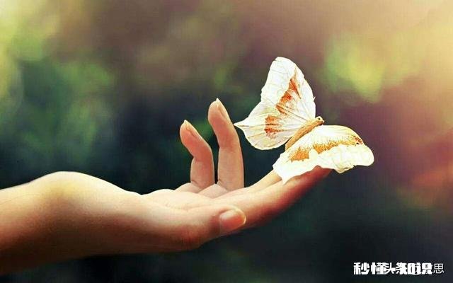 为什么很多人说“吃亏是福”如何理解