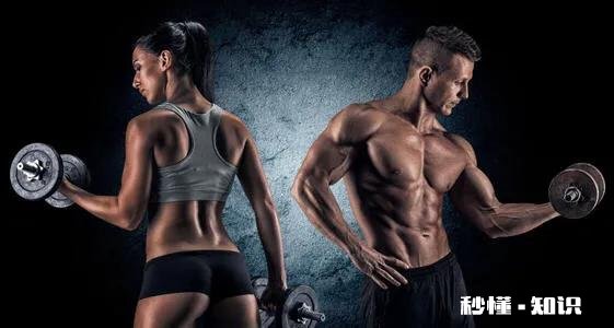 家用什么健身器材合适