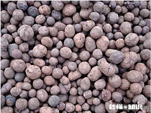 茉莉花可以用没有经过腐熟的松针土吗