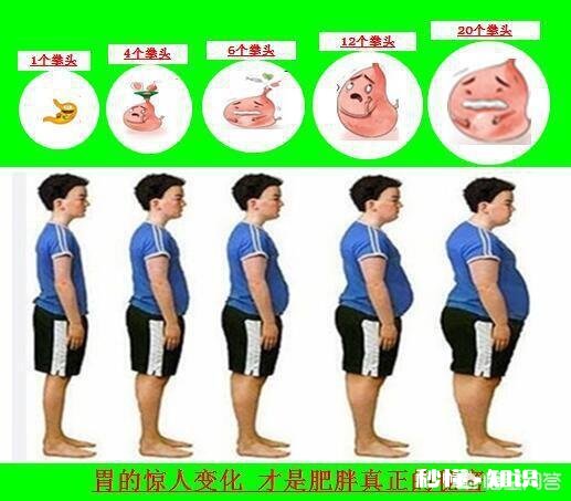 不吃主食能减肥嘛