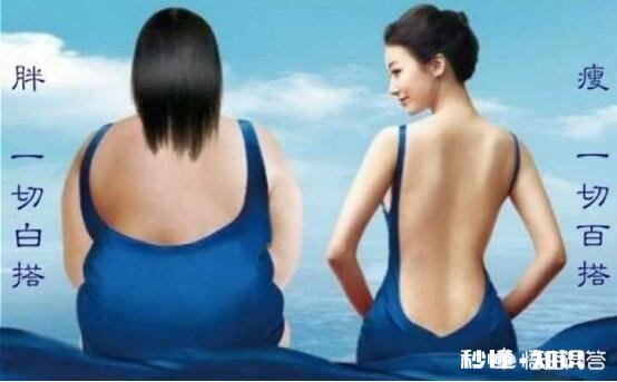 不吃主食能减肥嘛