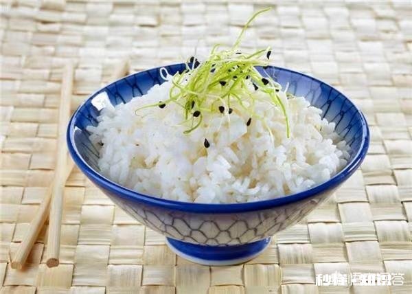 不吃主食能减肥嘛