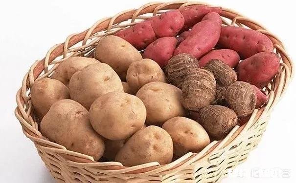 不吃主食能减肥嘛