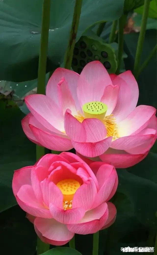 梦到那个最想念的人，会流泪吗