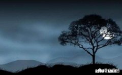 梦到那个最想念的人，会流泪吗