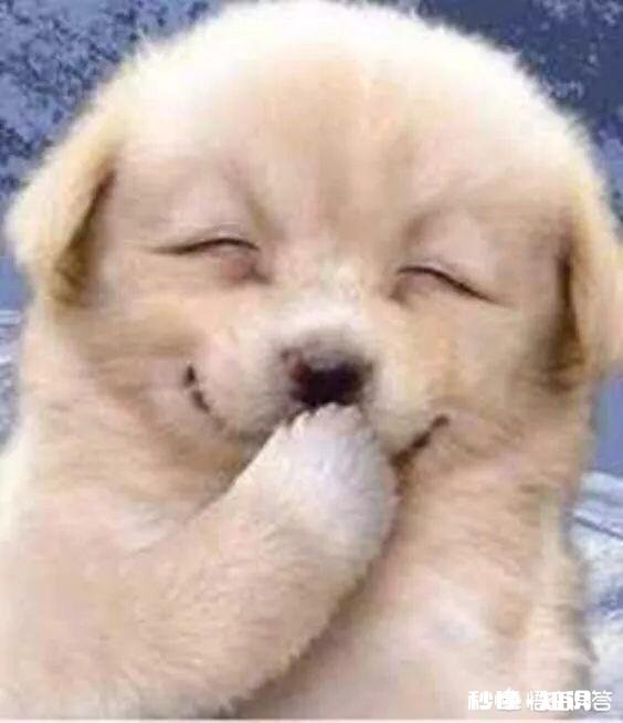 如何看待“你是她的之一，她却是你的唯一”这句话