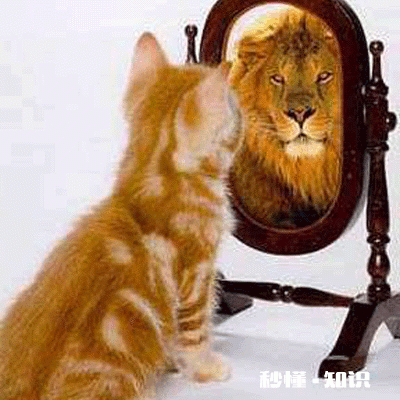 镜子和照相机里面的自己为什么不一样。照相机里面的好丑。哪一个是真实的自己