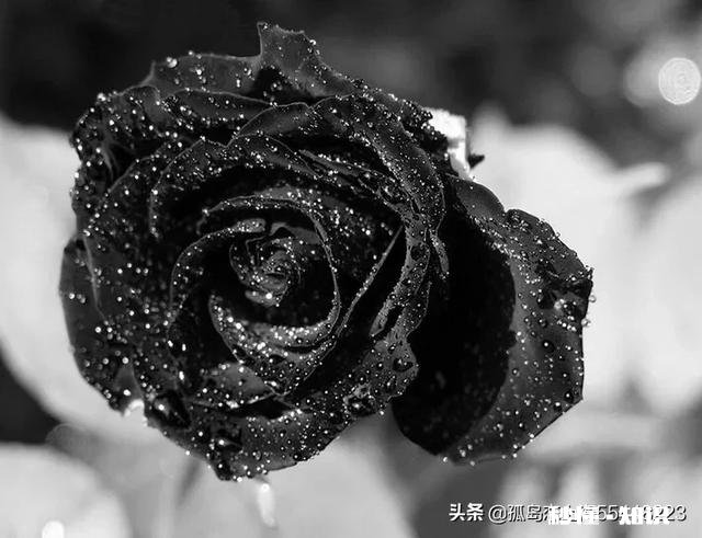 哪一首歌或者哪一个视频支撑着你度过了一段低谷时期，可以分享一下吗