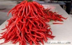 吃辣椒过敏怎么办