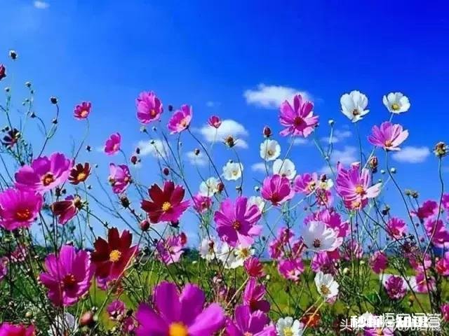 当孩子自卑，不想面对现实时，该怎么办