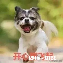 谈恋爱大概一天聊多久