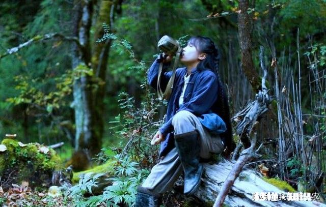 李子柒的生活是很多人向往的，虽然是设计好的，但如果每天过这样的生活，你愿意嘛