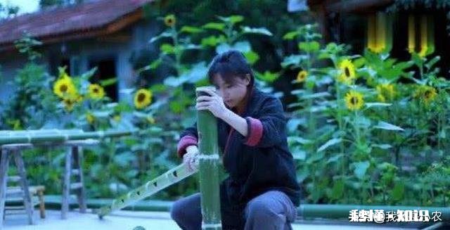 李子柒的生活是很多人向往的，虽然是设计好的，但如果每天过这样的生活，你愿意嘛