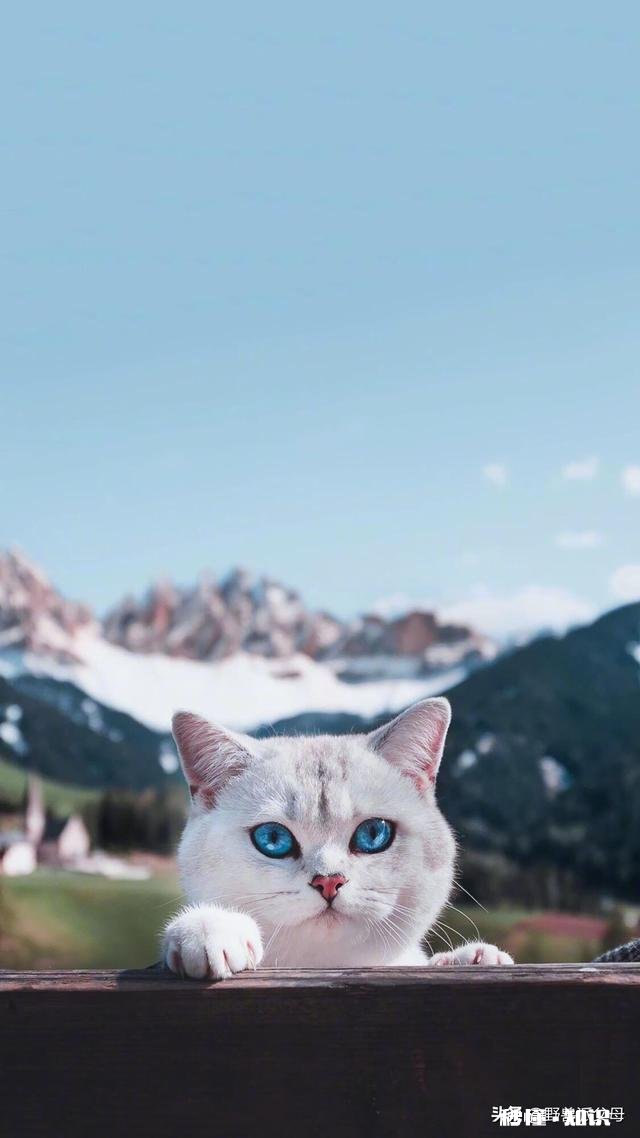 有了孩子之后，一万块钱是如何花光的