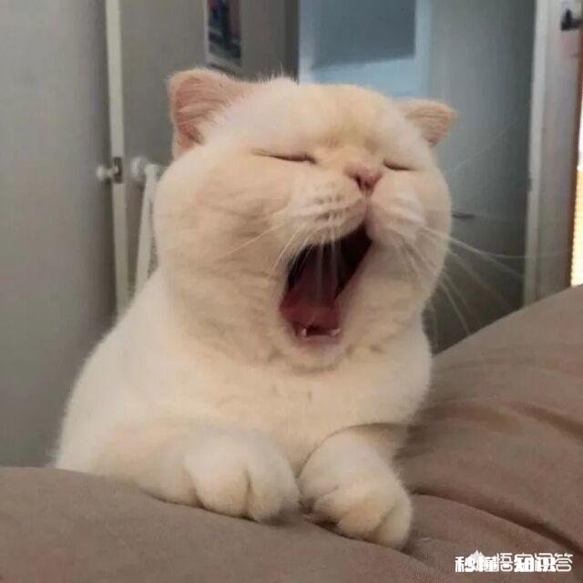 为什么现在有些90后不愿意花时间去拍拖