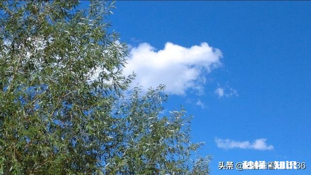 人生中有许多第一次，朋友们，你们都有哪些难忘的第一次呢