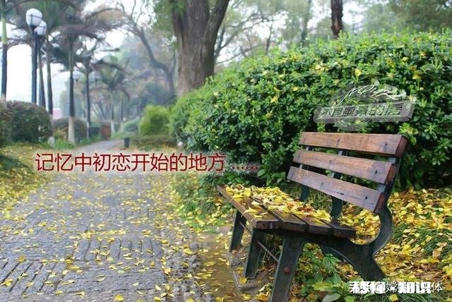 人生中有许多第一次，朋友们，你们都有哪些难忘的第一次呢