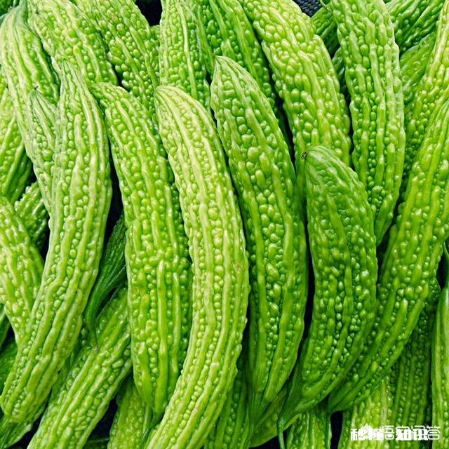 你吃过奶奶做的最好吃的食物是什么