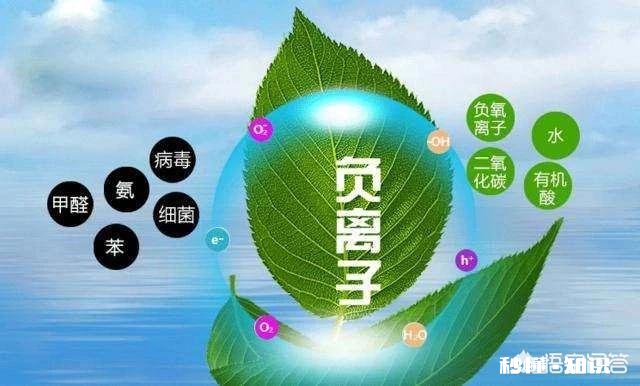 墙布可以防辐射吗