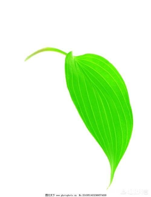 有人说股票也像人有自己的性格，你怎么看