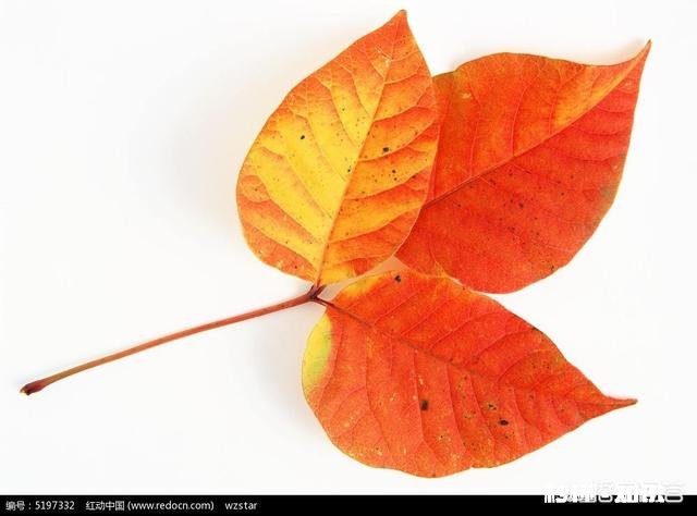 有人说股票也像人有自己的性格，你怎么看