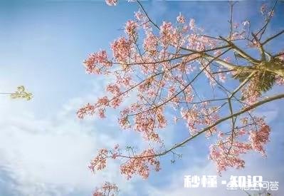 自己做了不道德的事,已经无法挽回了,怎么原谅自己