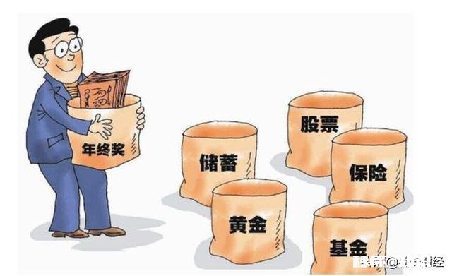 什么投资100万,年利润有20万左右