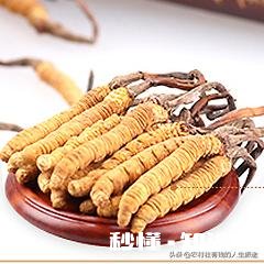 中药逐渐火了，今年种中药会卖个好价钱吗